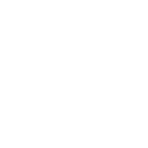 C Direct Emissions